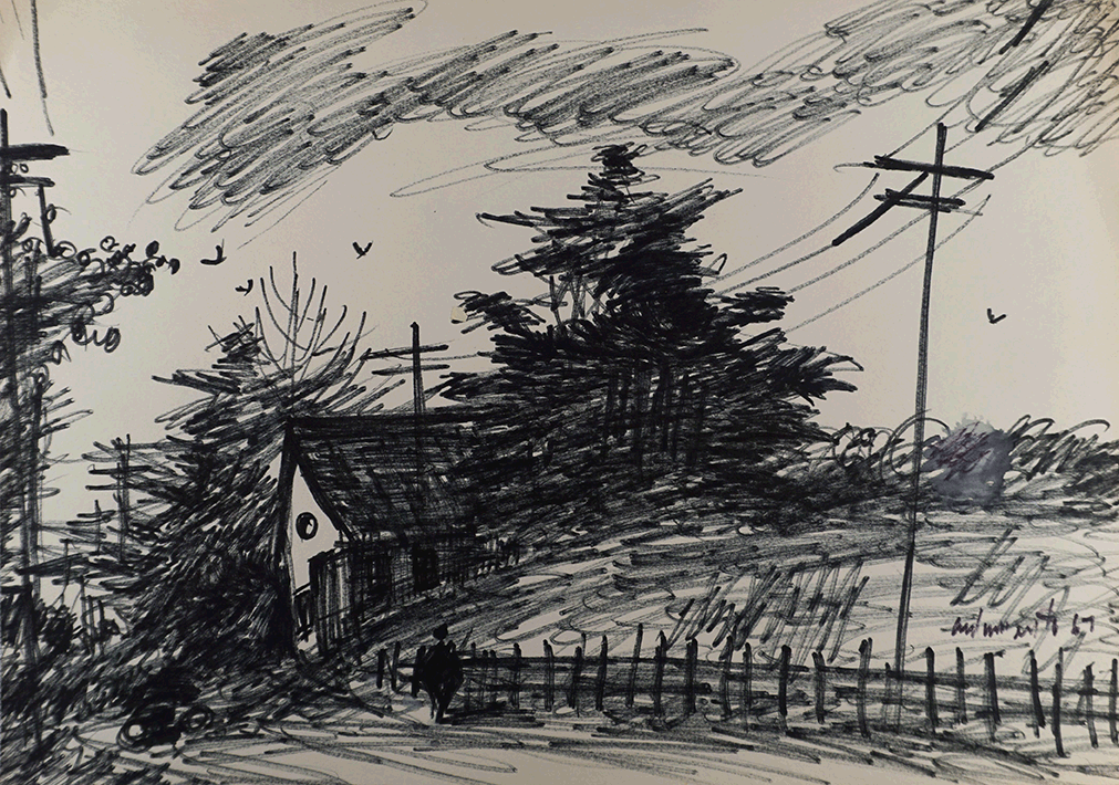 House amidst evergreens